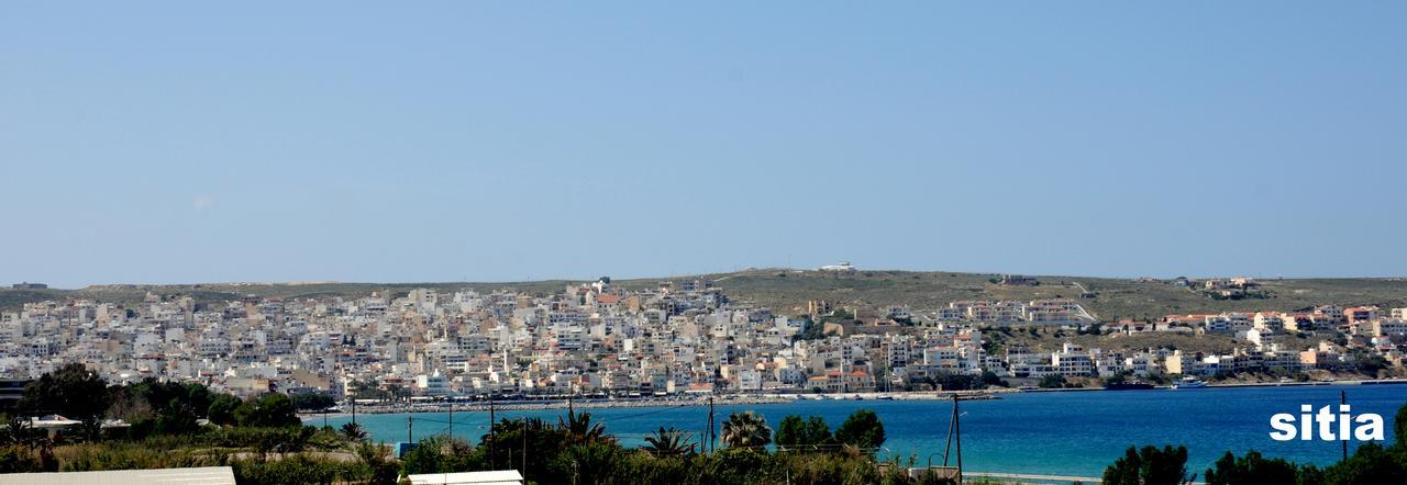 Ekavi